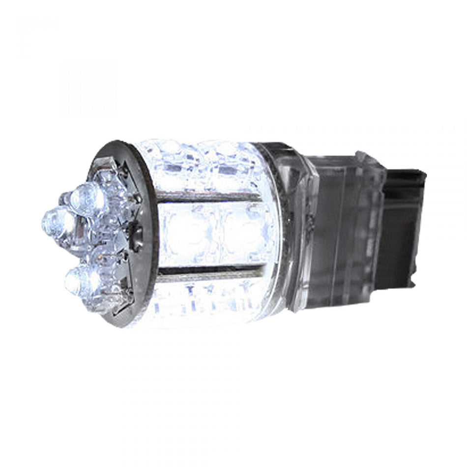 3156 (13 L.E.D.’s) 360 Degree WHITE L.E.D. Bulb