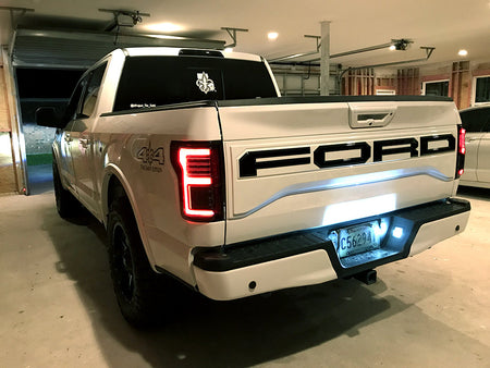 Ford F150 15-17 & Raptor 17-19 Tail Lights OLED in Smoked