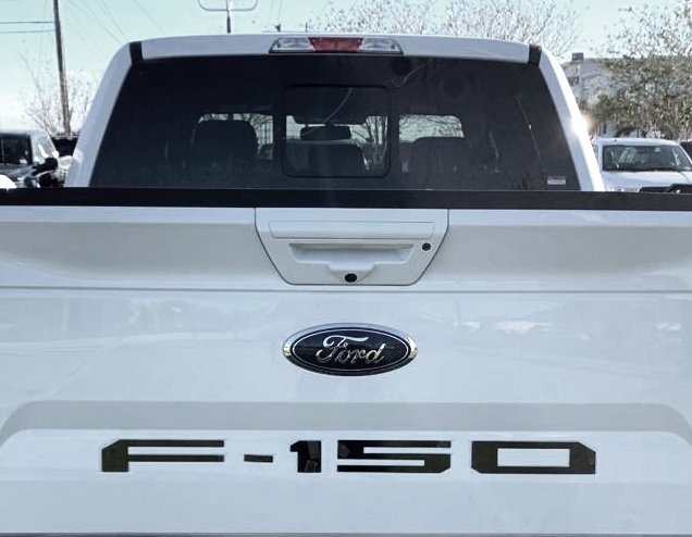 Ford F150 18-20 1-Piece Rear TAILGATE Acrylic Emblem Insert in Black