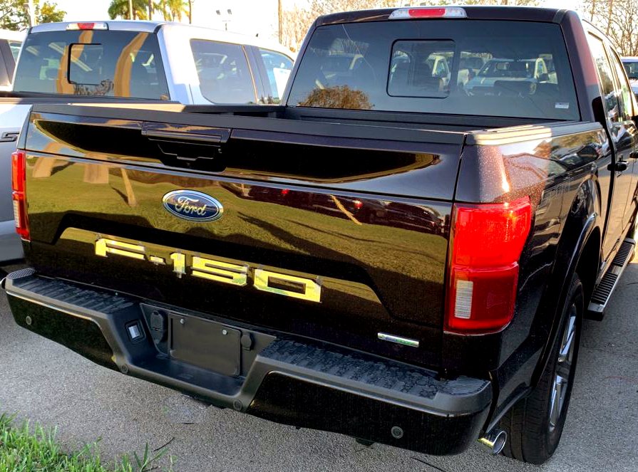 Ford F150 18-20 1-Piece Rear TAILGATE Acrylic Emblem Insert in Chrome