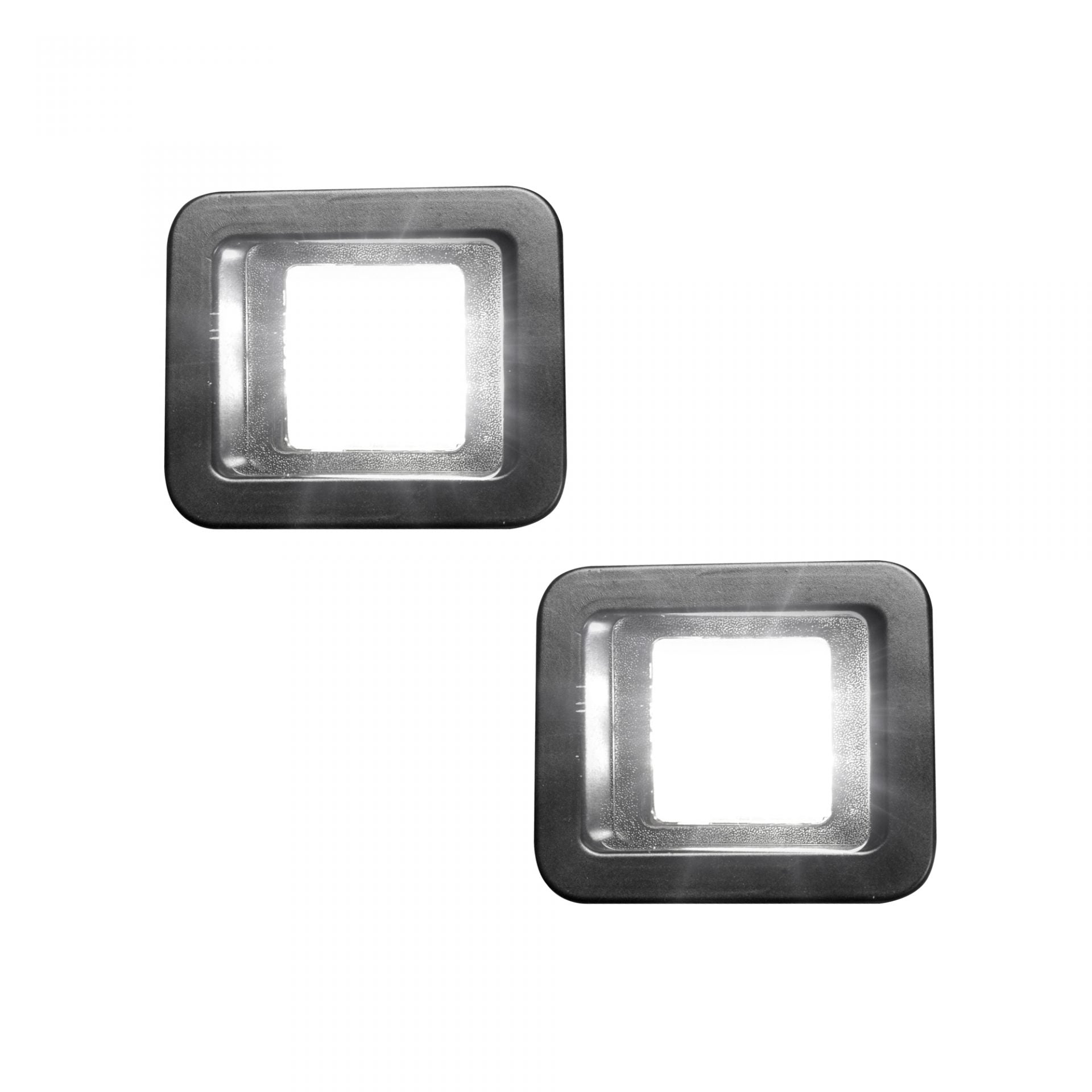 Ford F150 15-17 & Raptor 17-19 License Plate Illumination Kit LED