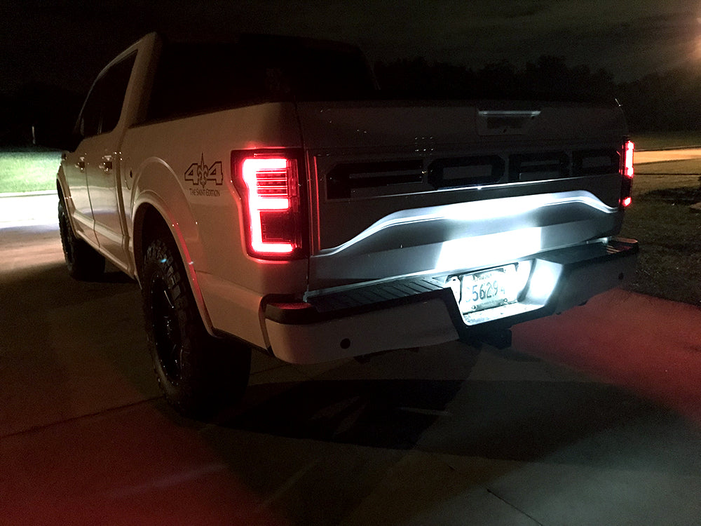 Ford F150 15-17 &amp; Raptor 17-19 Tail Lights OLED in Smoked