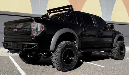 Ford F150 &amp; RAPTOR 09-14 OLED TAIL LIGHTS - Clear Lens