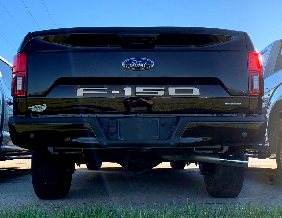 Ford F150 18-20 1-Piece Rear TAILGATE Acrylic Emblem Insert in White